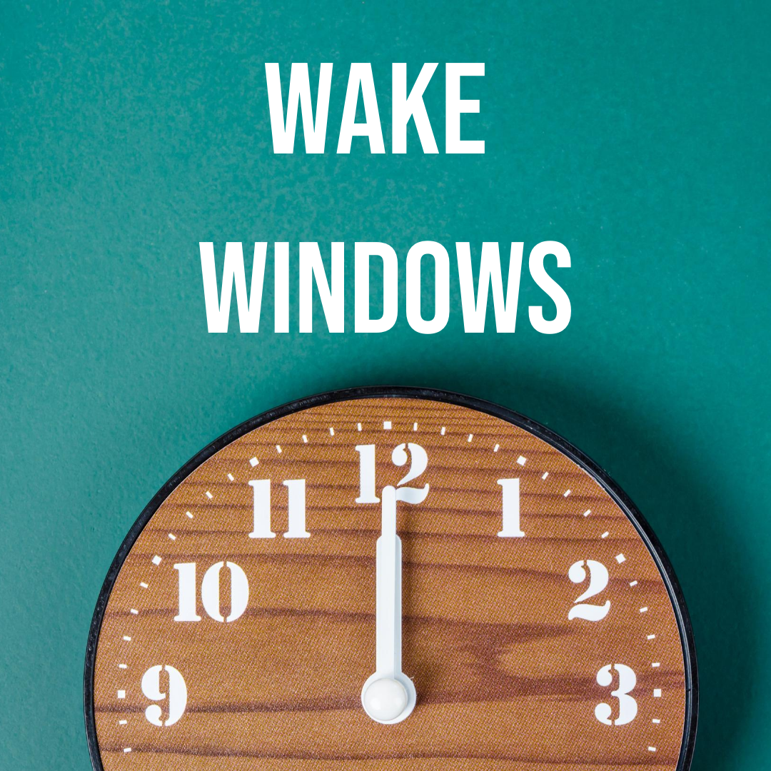 baby wake window