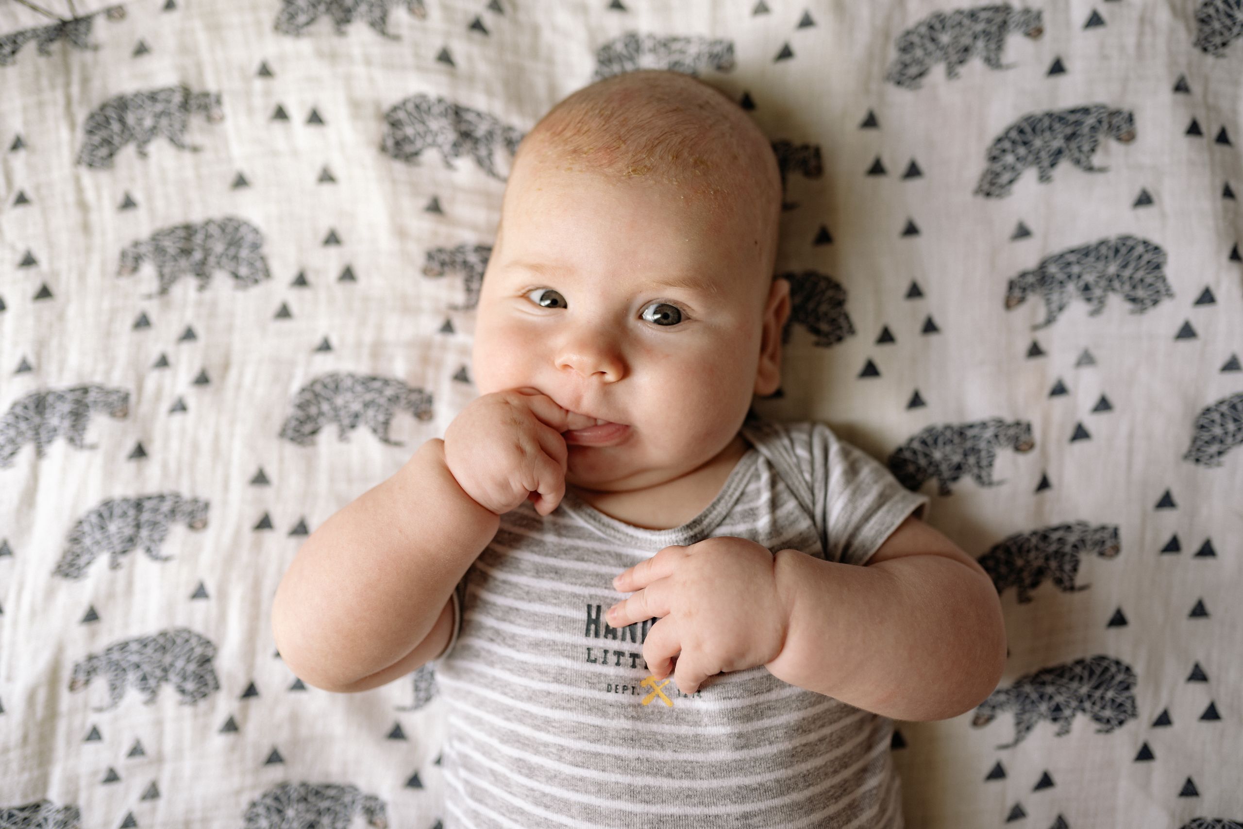 Adorable baby relaxing on an animal print blanket, exuding curiosity and innocence.